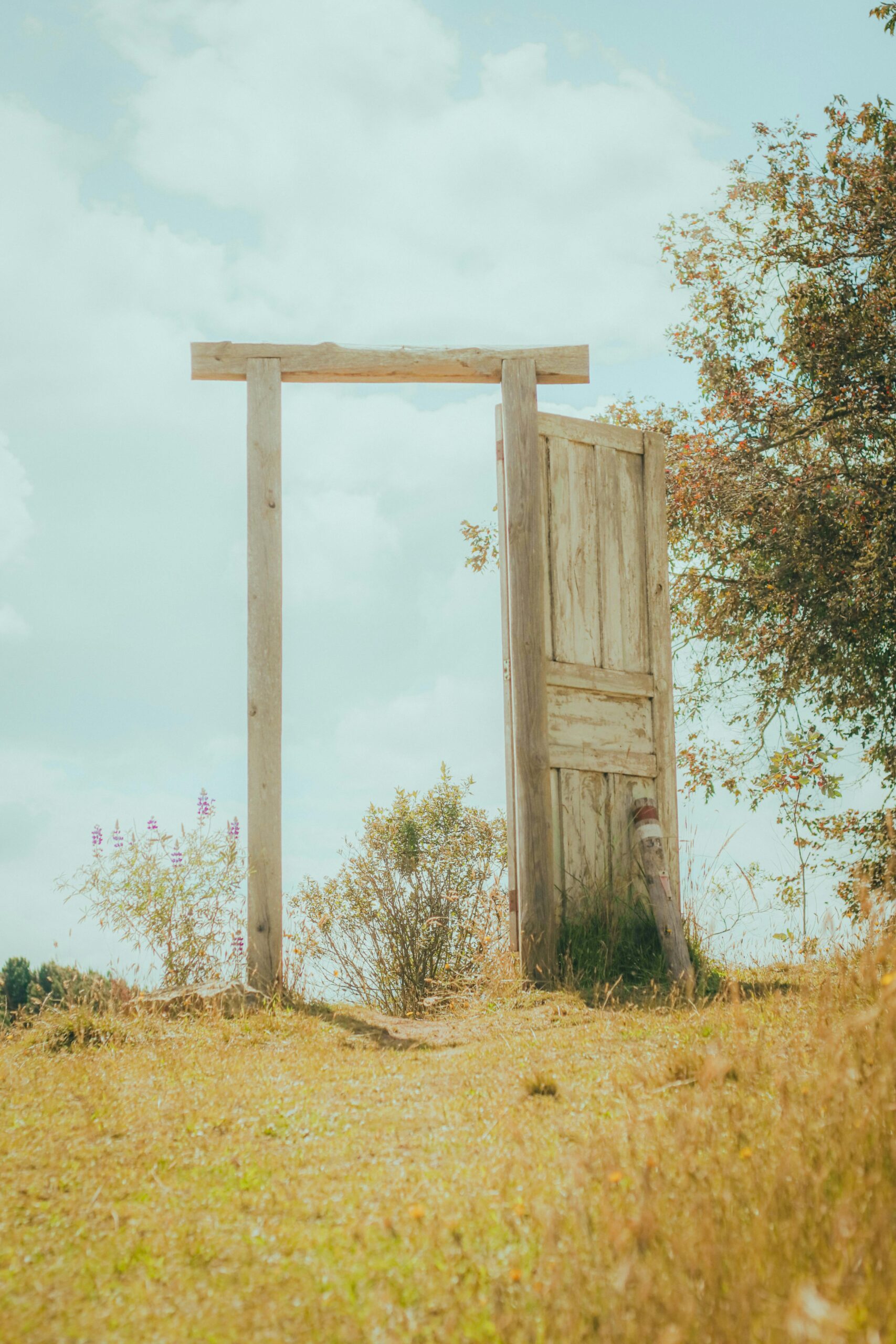 An open wooden door set in a picturesque grassy field under a blue sky.