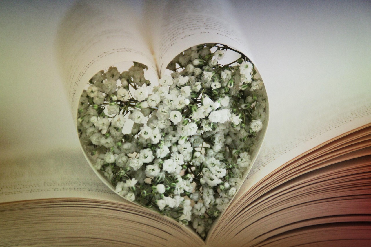 heart, a book, love, gypsophila, read, literature, books, paper, library, romance, romantic, in love, poetry, antique, wedding, engagement, to learn, letters, words, write, poem, lyric, poetry, poem, poem, poem, poem, poem