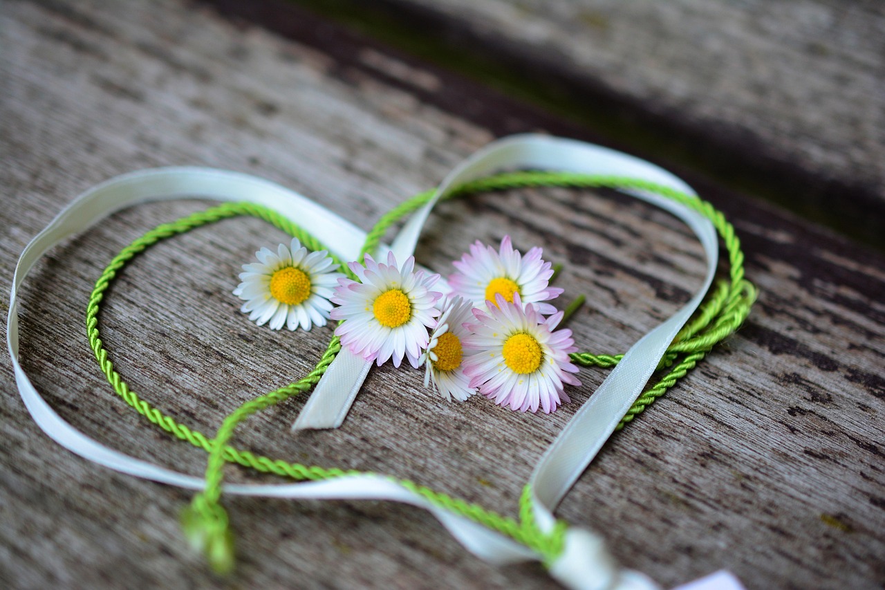 daisy, heart, nature, romance, valentine's day, flower wallpaper, love, spring, greeting, heart-shaped, friendship, symbol, flower background, love symbol, flower, pink daisy, beautiful flowers, heart shape, in love, affection, deco, bands