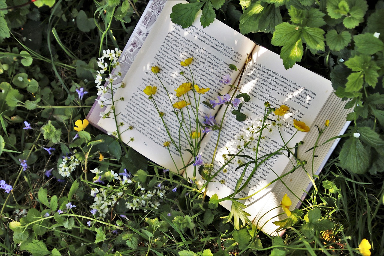 reading, plant, nature, leaf, garden, spring, flower, delicate, outside, blooming, environment, freshness, beautiful, book, white, old book, vacations, reading room, manual, paper, knowledge, education, library, bookcase, to read, read, flower background, pleasure, pretty, books, bookworm, grass, in the shadows, hobby, flower wallpaper, passion, green, field flowers, lawn, in grass, literature, letters, beautiful flowers, writing